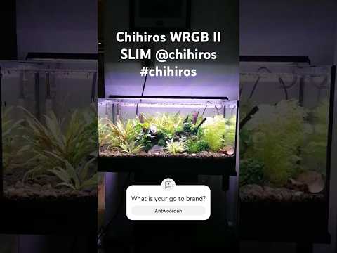 My first upgrade from low to high tech with the Chihiros WRGB II SLIM! ❤️ @ChihirosAquaticStudio