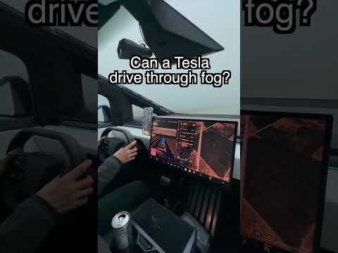 Can a Tesla Drive through Fog?